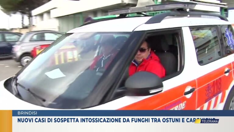 BRINDISI. NUOVI CASI DI SOSPETTA INTOSSICAZIONE DA FUNGHI TRA OSTUNI E CAROVIGNO