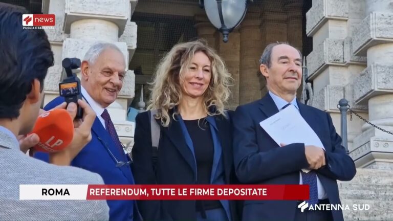 TG INTERREGIONALE ORE 19:45 DEL 8 NOVEMBRE 2025