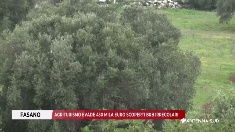 07 NOVEMBRE 2025   FASANO BR   AGRITURISMO EVADE 430 MILA EURO SCOPERTI B&B IRREGOLARI