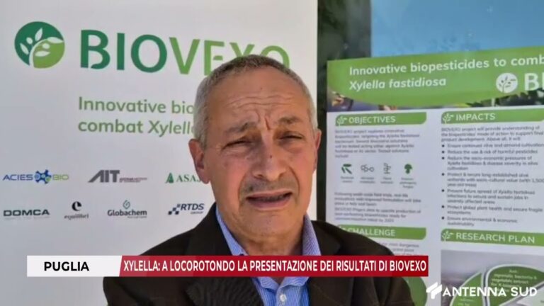 18 NOVEMBRE 2025 – XYLELLA A LOCOROTONDO LA PRESENTAZIONE DEI RISULTATI DI BIOVEXO