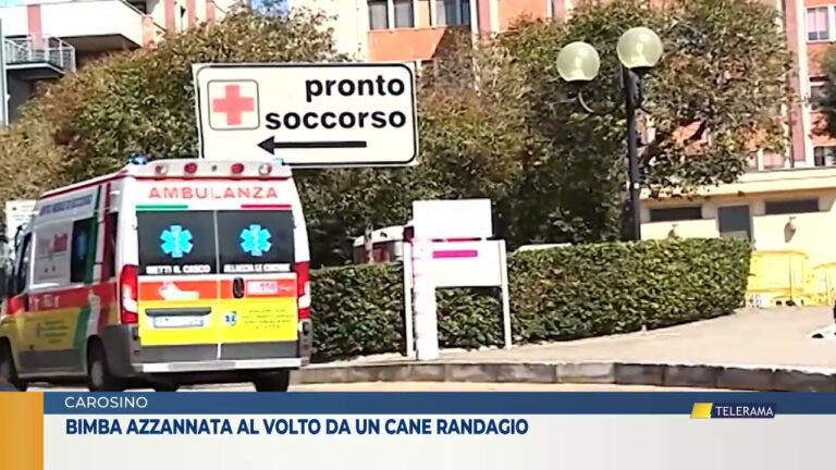 Carosino Bimba azzannata al volto da un cane randagio