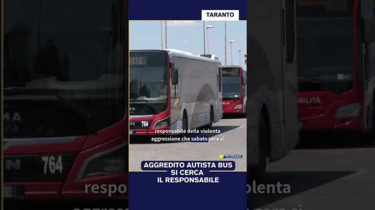 Aggredito autista bussi cerca il responsabile