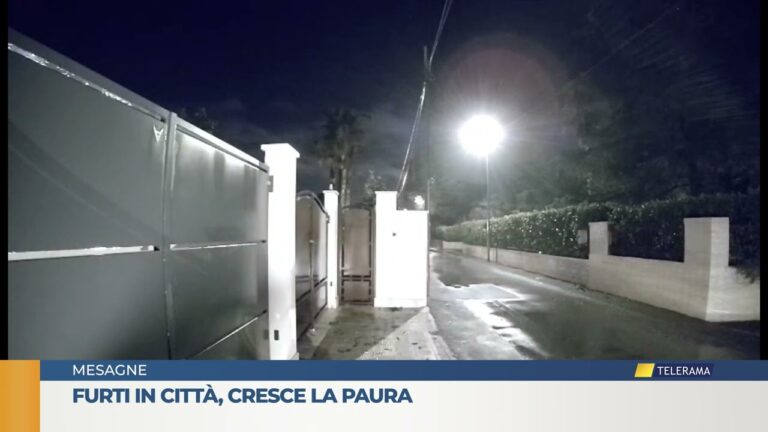 Furti in città cresce la paura