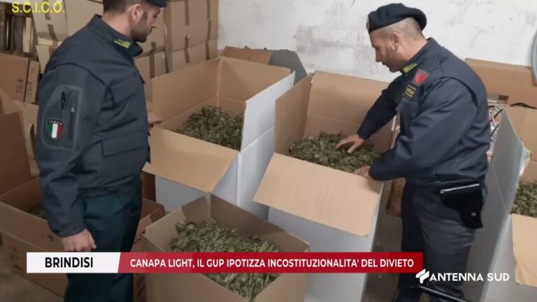 08 DICEMBRE 2025   BRINDISI   CANAPA LIGHT, IL GUP IPOTIZZA INCOSTITUZIONALITA’ DEL DIVIETO