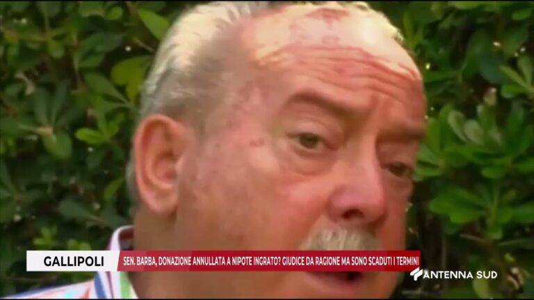 09 12 2025   GALLIPOLI BARBA DONAZIONE ANNULLATA NIPOTE INGRATO? GIUDICE DA RAGIONE TERMINI SCADUTO
