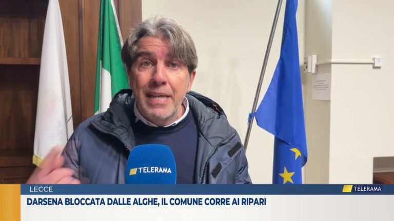 Darsena bloccata dalle alghe, il Comune corre ai ripari