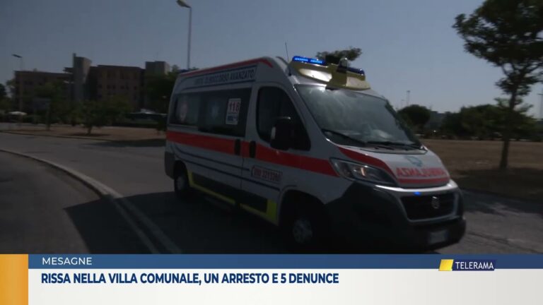 rissa nella villa comunale, un arresto e 5 denuncie