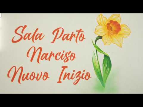 Donati letto da parto e umanizzazione pittorica di 3 sale parto a Ostetricia e Ginecologia del Fazzi