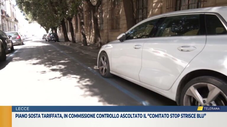 Piano sosta tariffata, in commissione Controllo ascoltato il “Comitato stop strisce blu”