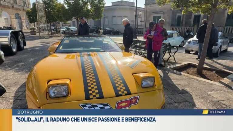 “Solid…ali”, il raduno che unisce passione e beneficenza