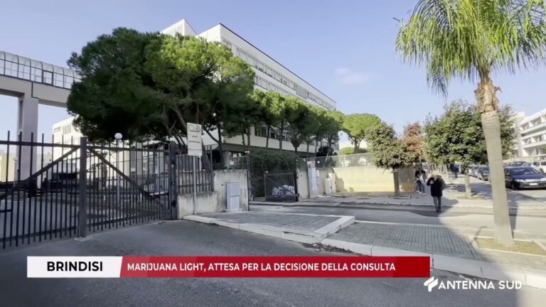 08 GENNAIO 2026   BRINDISI   MARIJUANA LIGHT, ATTESA PER LA DECISIONE DELLA CONSULTA