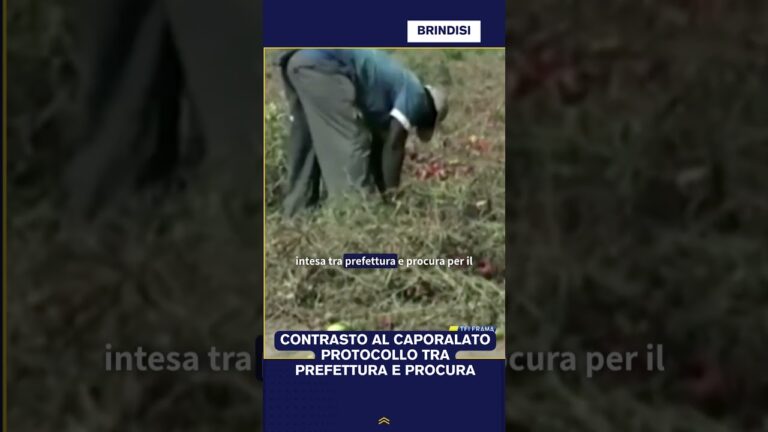 CONTRASTO AL CAPORALATO, PROTOCOLLO TRA PREFETTURA E PROCURA