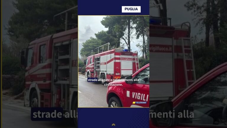 VENTO E PIOGGIA, DECINE DI INTERVENTI E DISAGI