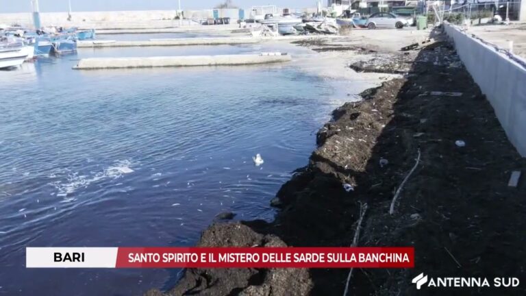 27 GENNAIO 2026 – BARI, SANTO SPIRITO E IL MISTERO DELLE SARDE SULLA BANCHINA