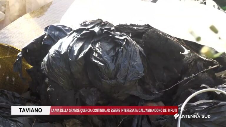 03 FEBBRAIO 2026   TAVIANO LE   LA VIA DELLA GRANDE QUERCIA CONTINUA AD ESSERE INTERESSATA DALL’ABBA