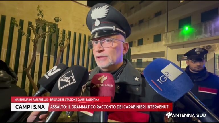 TG INTERREGIONALE ORE 13 15 DEL 10 FEBBRAIO 2026