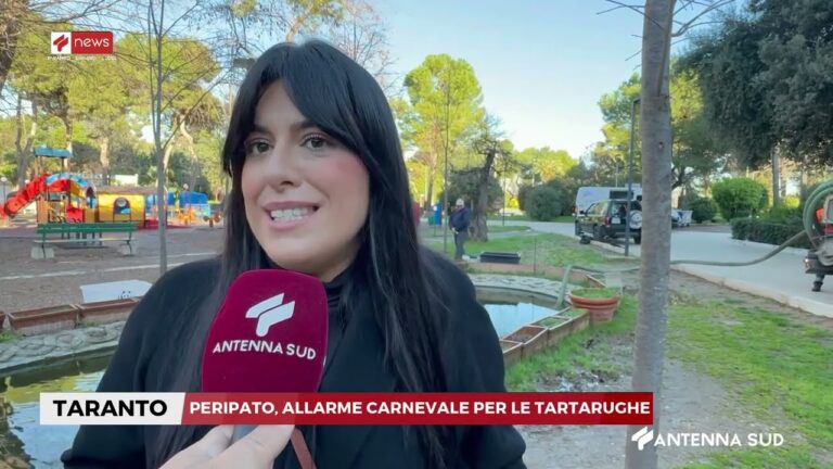 TG TA   BR   LE ORE 14 15 DEL 10 FEBBRAIO 2026