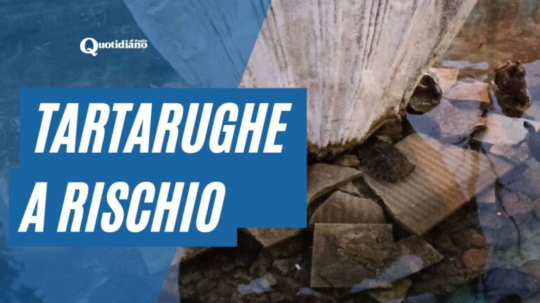 Taranto, a rischio le tartarughe di Villa Peripato