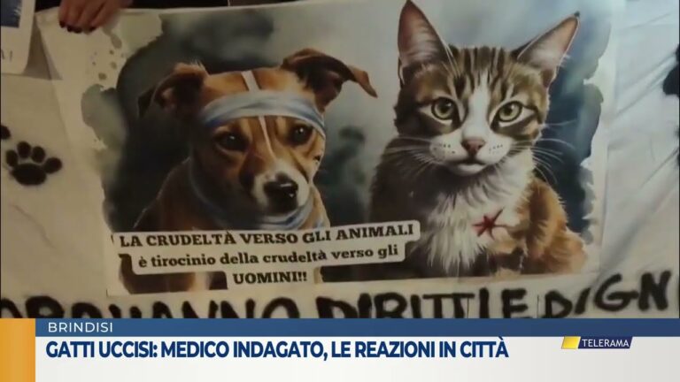 Gatti uccisi: Medico indagato reazioni in città