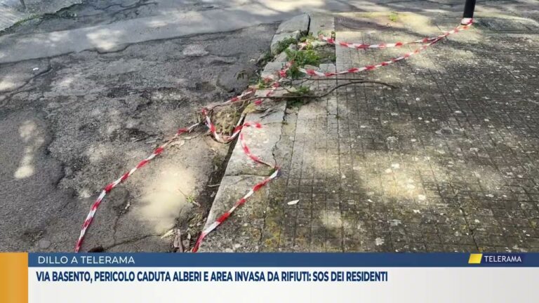 Via Basento, pericolo caduta alberi e area invasa da rifiuti: sos dei residenti
