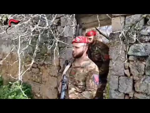 Assalto al portavalori, proseguono le operazioni dei Carabinieri nelle aree rurali del Salento