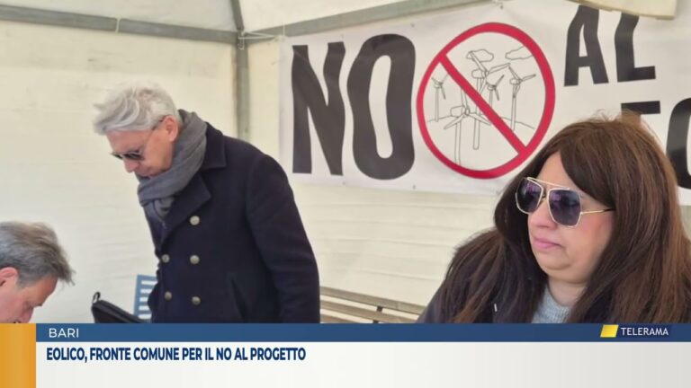 Eolico, fronte comune per il no al progetto