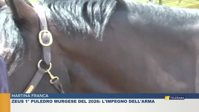 MARTINA FRANCA ZEUS 1° PULEDRO MURGESE DEL 2026 : L’IMPEGNO DELL’ARMA