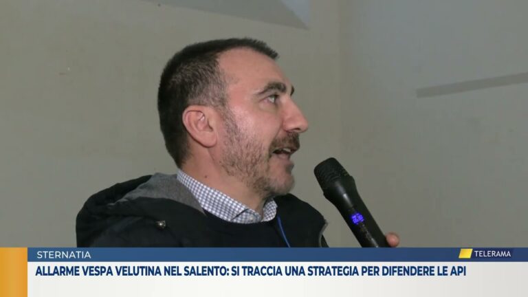 Allarme vespa velutina nel Salento: si traccia una strategia per difendere le api