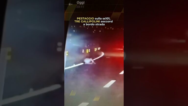 Pestaggio sulla ss101, tre gallipolini soccorsi a bordo strada