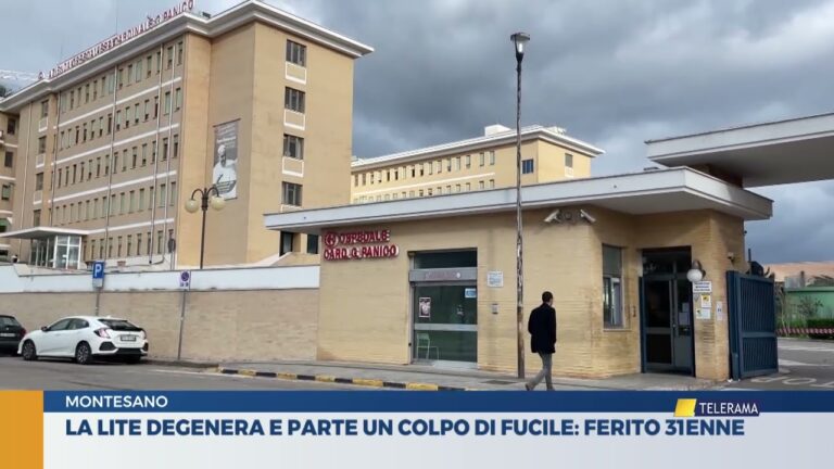 La lite degenera e parte un colpo di fucile: ferito 31enne