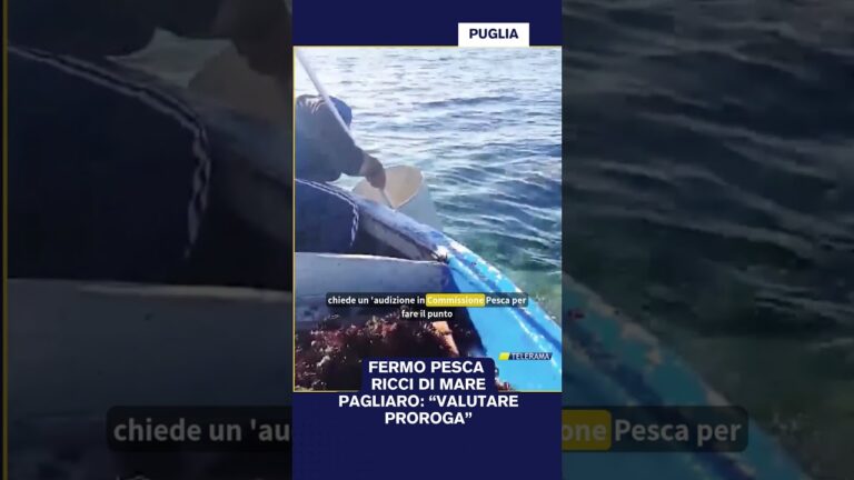 FERMO PESCA RICCI DI MARE PAGLIARO: “VALUTARE PROROGA”