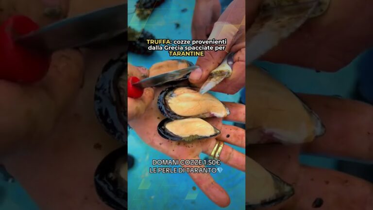 TRUFFA: COZZE PROVENIENTI DALLA GRECIA SPACCIATE PER TARANTINE