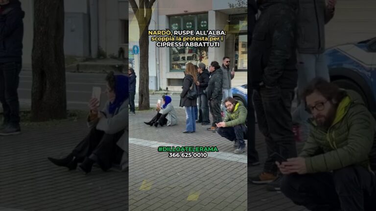 Nardò, proteste all’alba contro l’abbattimento dei cipressi dell’ex scuola del Primo Nucleo