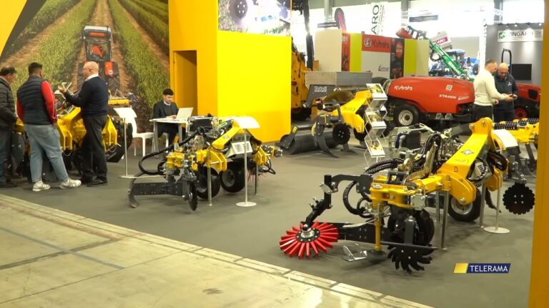 COSTUME E SOCIETA’ ENOLIEXPO 2026