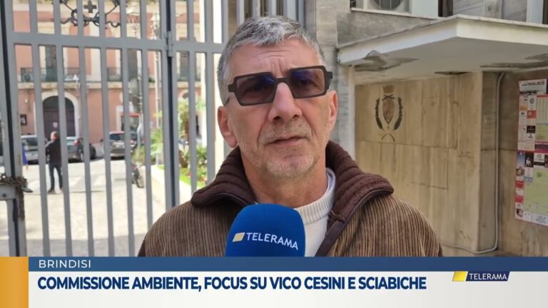 Commissione ambiente , focus su Vico Cesini e Scabiche