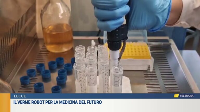 Il verme robot per la medicina del futuro