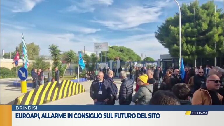 Euroapi, allarme in consiglio sul futuro del sito