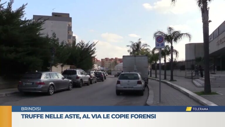 Truffe nelle aste, al via le copie forensi