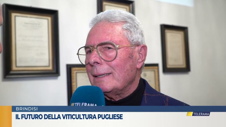Il futuro della viticultura pugliese