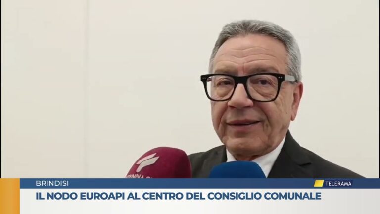 Il nodo Euroapi al centro del consiglio comunale