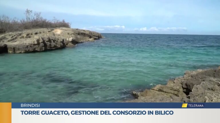 Torre Guaceto gestione del consorzio in bilico