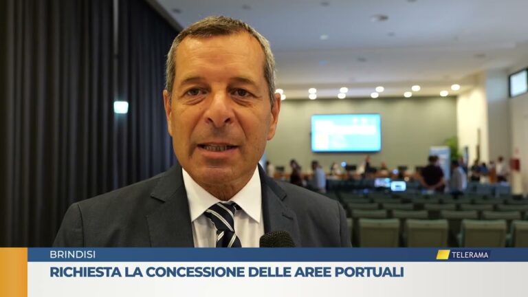 Richiesta la concessione delle aree portuali