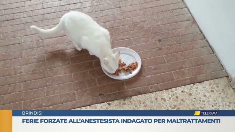 Ferie forzate all’anestesista indagato per maltrattamenti