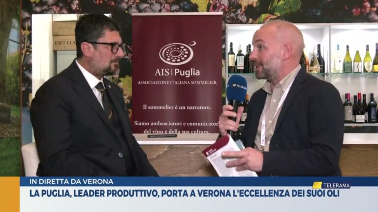 13 04 2026 collegamento Vinitaly 2026 Tg Lecce