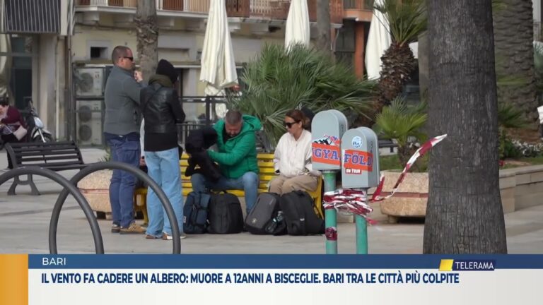 il vento fa cadere un albero muore a 12anni a bisceglie  bari tra le città più colpite