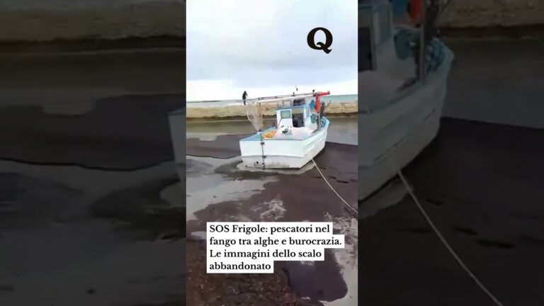 SOS Frigole: pescatori nel fango tra alghe e burocrazia. Le immagini dello scalo abbandonato