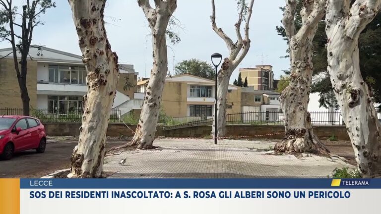 Sos dei residenti inascoltato: a S. Rosa gli alberi sono un pericolo