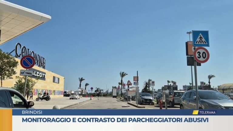 Monitoraggio e contrasto dei parcheggiatori abusivi