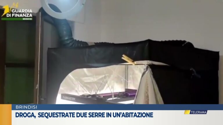 Droga, sequestrate due serre in un’abitazione