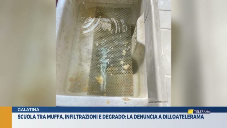 Scuola tra muffa, infiltrazioni e degrado: la denuncia a dilloatelerama